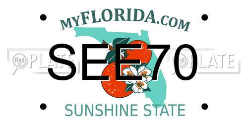 SEE70 Florida License Plate