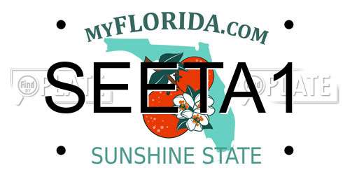SEETA1 Florida License Plate