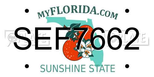 SEF7662 Florida License Plate