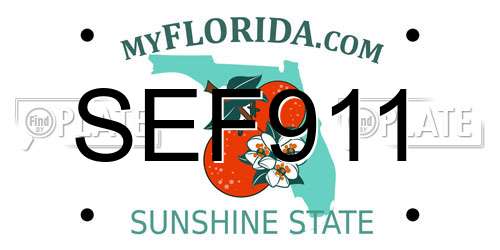 SEF911 Florida License Plate