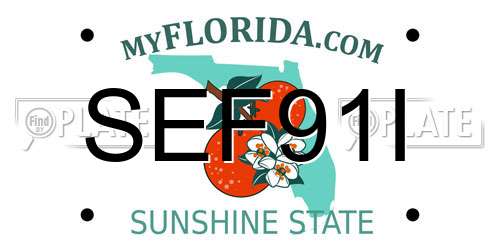 SEF91I Florida License Plate
