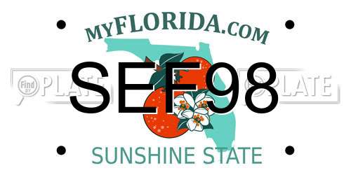 SEF98 Florida License Plate