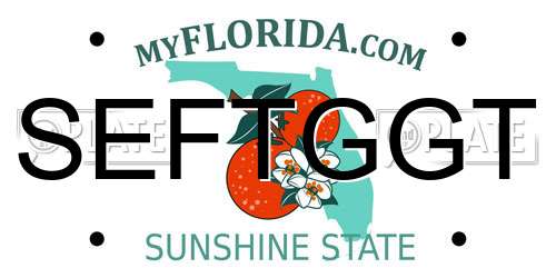 SEFTGGT Florida License Plate