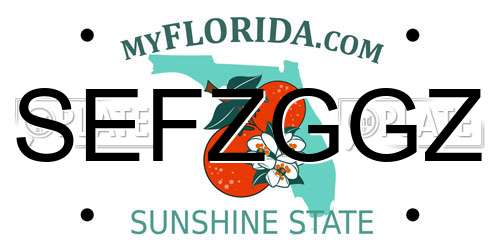 SEFZGGZ Florida License Plate