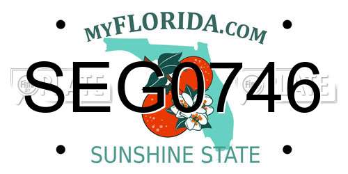 SEG0746 Florida License Plate