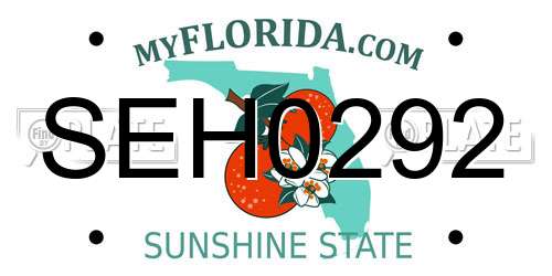 SEH0292 Florida License Plate