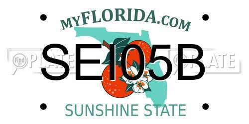 SEI05B Florida License Plate