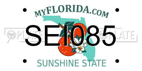 SEI085 Florida License Plate