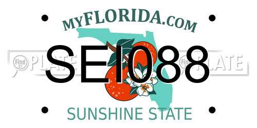 SEI088 Florida License Plate