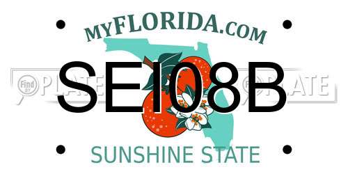SEI08B Florida License Plate