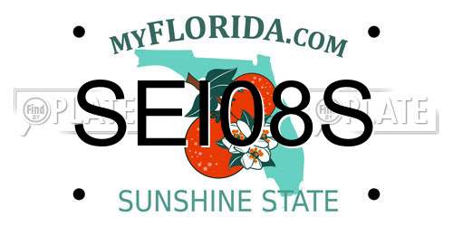 SEI08S Florida License Plate