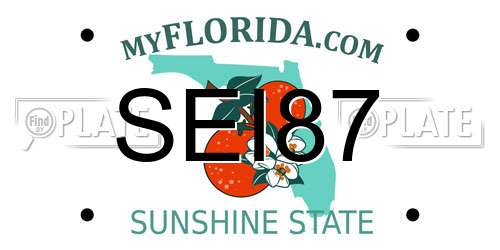 SEI87 Florida License Plate