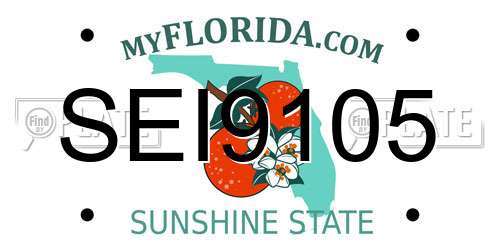 SEI9105 Florida License Plate