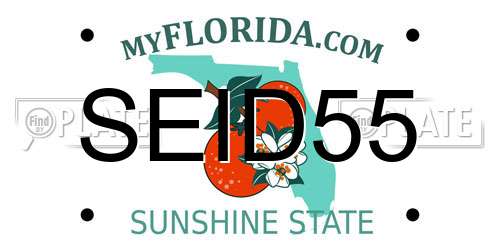 SEID55 Florida License Plate