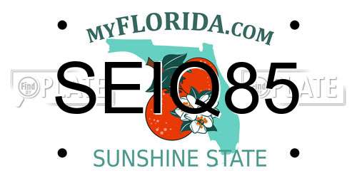 SEIQ85 Florida License Plate