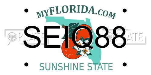 SEIQ88 Florida License Plate