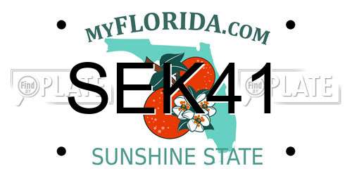 SEK41 Florida License Plate
