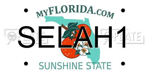 SELAH1 Florida License Plate