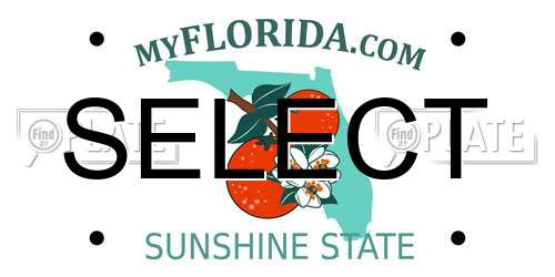 SELECT Florida License Plate