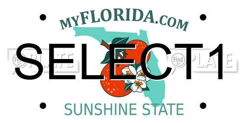 SELECT1 Florida License Plate