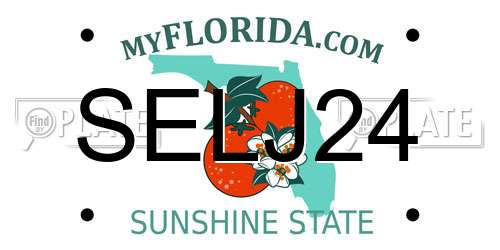 SELJ24 Florida License Plate
