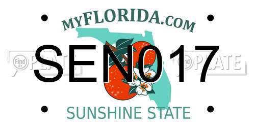 SEN017 Florida License Plate