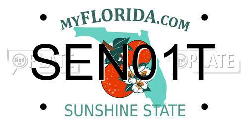SEN01T Florida License Plate
