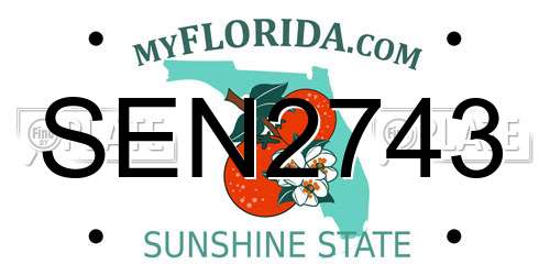SEN2743 Florida License Plate
