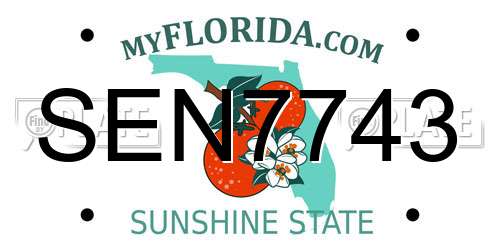 SEN7743 Florida License Plate
