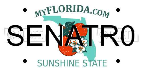 SENATR0 Florida License Plate