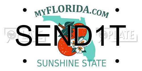 SEND1T Florida License Plate