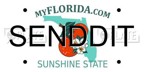 SENDDIT Florida License Plate
