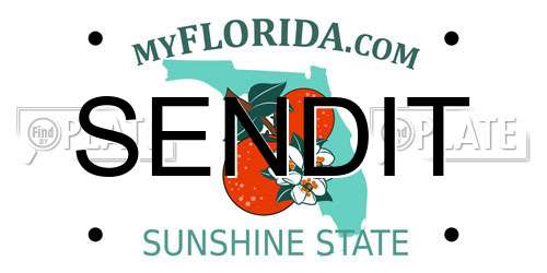 SENDIT Florida License Plate