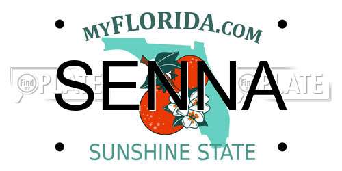 SENNA Florida License Plate