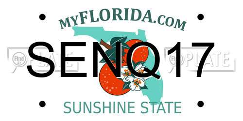 SENQ17 Florida License Plate