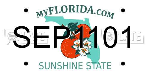 SEP1101 Florida License Plate