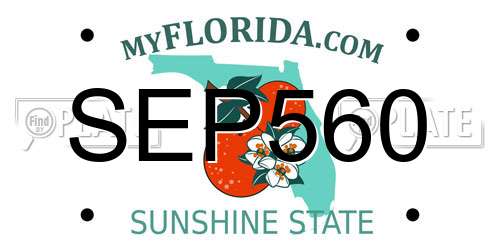SEP560 Florida License Plate