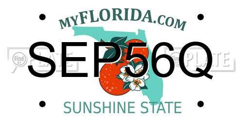 SEP56Q Florida License Plate
