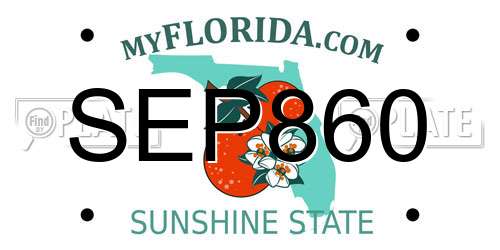 SEP860 Florida License Plate