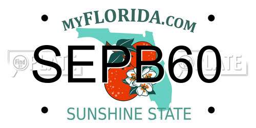 SEPB60 Florida License Plate