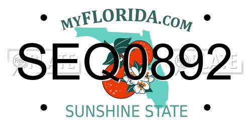 SEQ0892 Florida License Plate