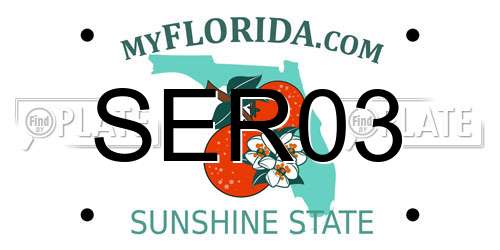 SER03 Florida License Plate