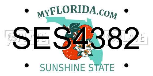 SES4382 Florida License Plate