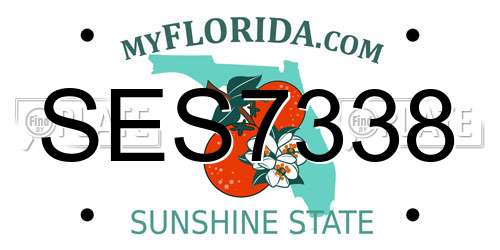 SES7338 Florida License Plate