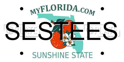 SESTEES Florida License Plate