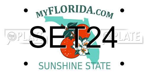 SET24 Florida License Plate