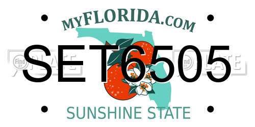 SET6505 Florida License Plate