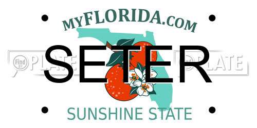 SETER Florida License Plate