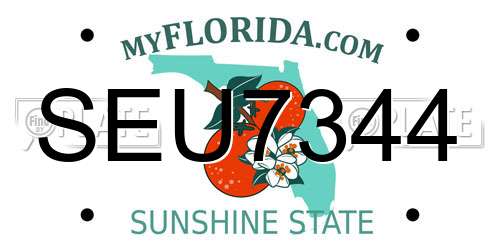 SEU7344 Florida License Plate