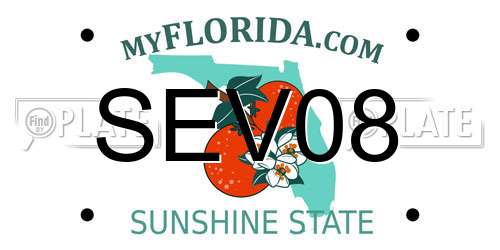 SEV08 Florida License Plate